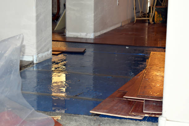 Professional Sewage Cleanup technician working in Pomona, KS